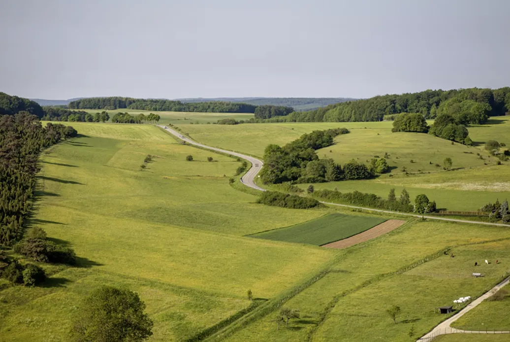 Участок в Петропавловске-Камчатском