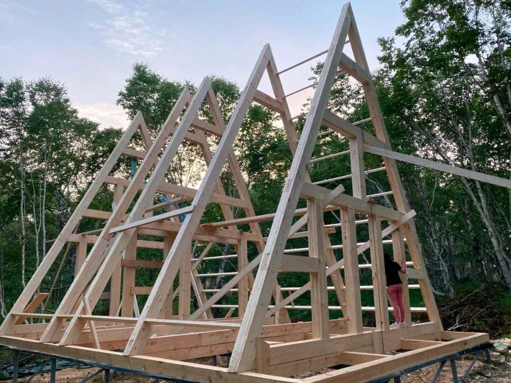 Изображение с каркасной технологией строительства